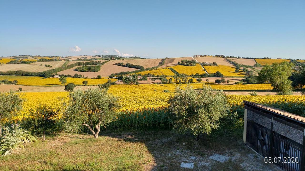 Agriturismo Vallelunga Ancona Bagian luar foto