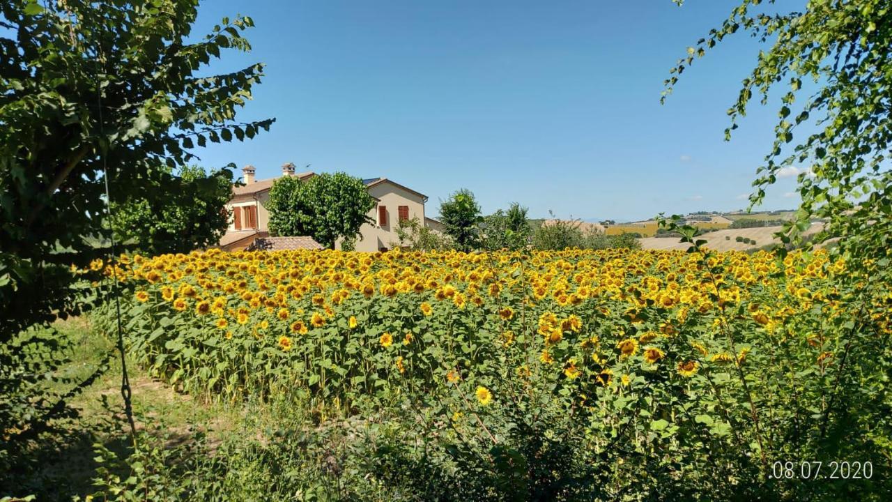 Agriturismo Vallelunga Ancona Bagian luar foto